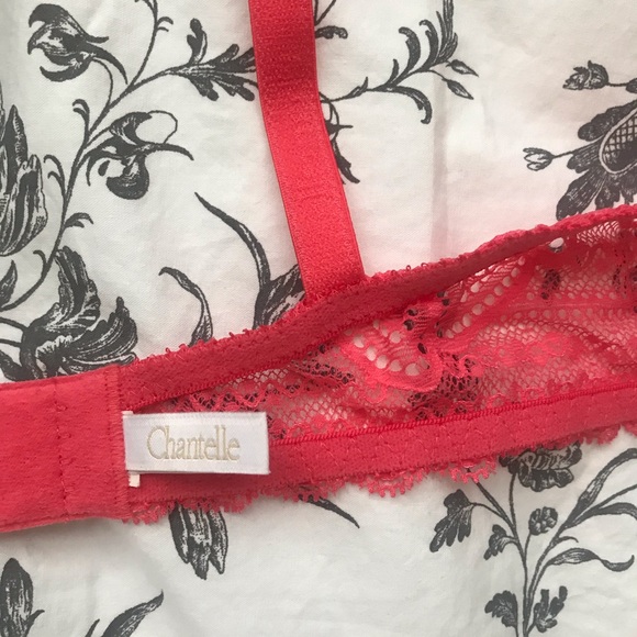 Pink Lace Chantelle Bra - Picture 3 of 4
